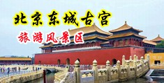 美女的香逼中国北京-东城古宫旅游风景区